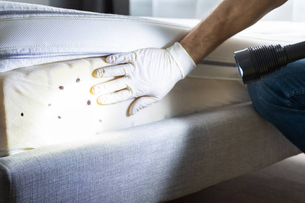 Pest Control for Restaurants in Hood River, OR